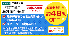 ネットde保険＠とらべる（インターネット専用海外旅行保険）