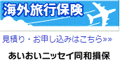 eとらべる海外旅行保険（インターネット専用海外旅行保険）