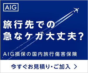 AIG損保の国内旅行傷害保険